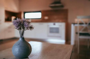Apartman Aurora